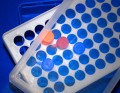 tip-box.test-tube box 1.5 EPPENDORF 72 m NIEBIESKI