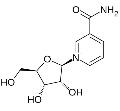 Nicotinamide Riboside 