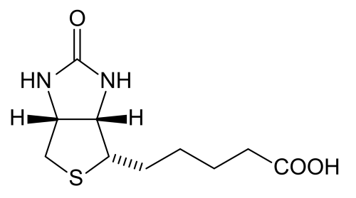 Pure Biotin Powder ( vitamin B7 ) 