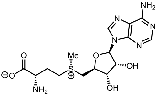 S-adenozylometionina w proszku