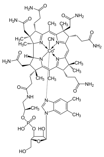 Vitamin B12 Powder 1%