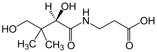 Pantothenic Acid Vitamin B5 Powder