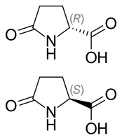 L-Pyroglutamic Acid Powder