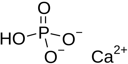 Dicalcium phosphate Powder