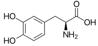 3,4-Dihydroxy-L-phenylalanine ( Levodopa, L-Dopa )