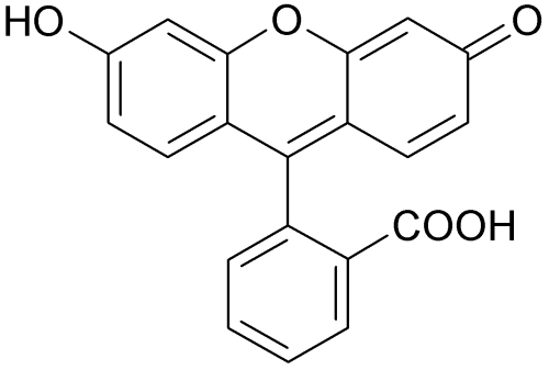 Fluorescein Free Acid