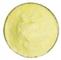 Apigenin Pure Powder 10g >99%