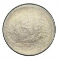 Guma ksantanowa w proszku - 5000g