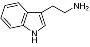 Tryptamin Free Base [ 2-(1H-Indol-3-yl)ethan-1-amin ] CAS 61-54-1 &gt