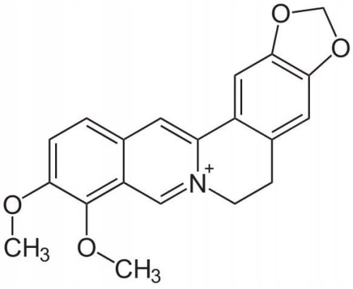 Berberin Čistý berberinový flavonoid 50g &gt