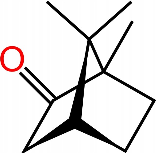 Terpen kamforowy Camphorum Camphor - 100g