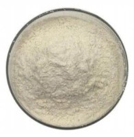 Guma ksantanowa w proszku - 500g