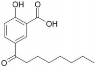 Ácido Lipohidroxílico L.H.A LHA 90g