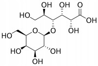 Ácido lactobiónico 90 g