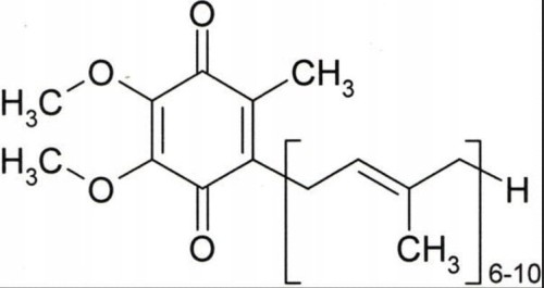 Coenzima Q10 ( Ubiquinona ) 10g